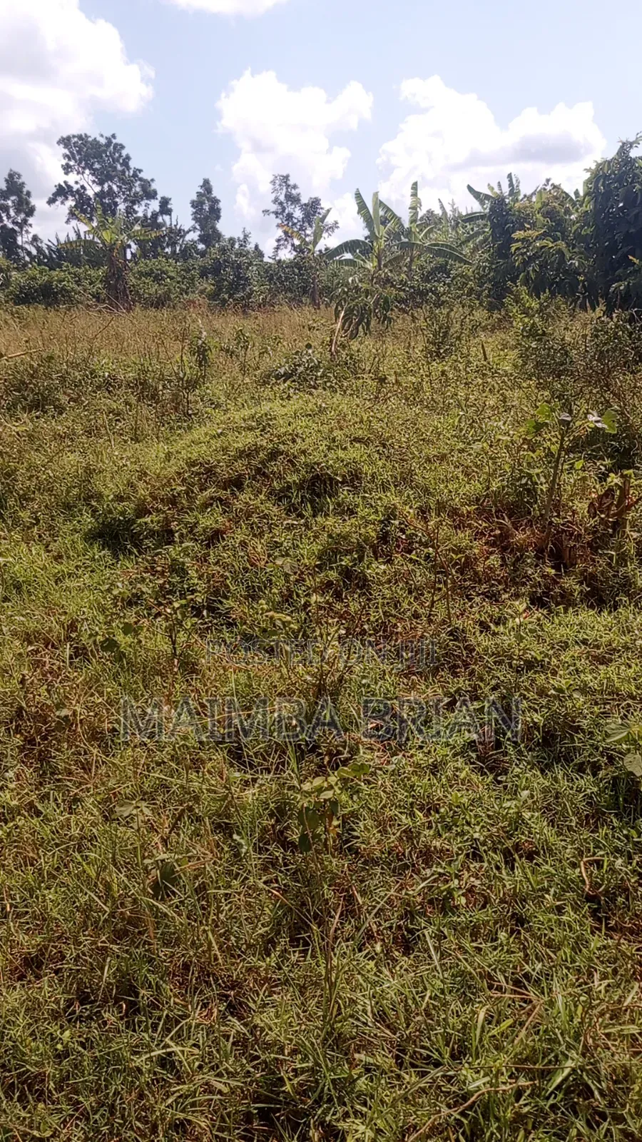 8 Acres of Land in Buwama Mpigi