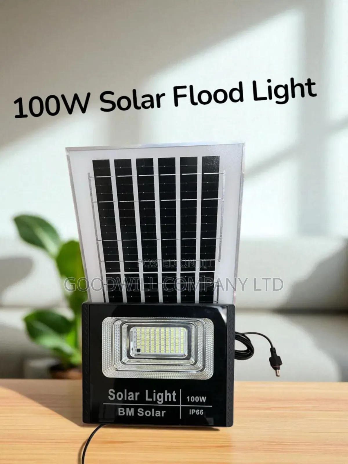 100w Bm Solar Flood Light