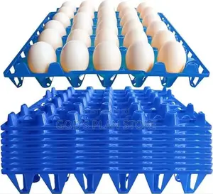 Blue Plastic Eggs Trays Blue Plastic Eggs Trays 100pcs