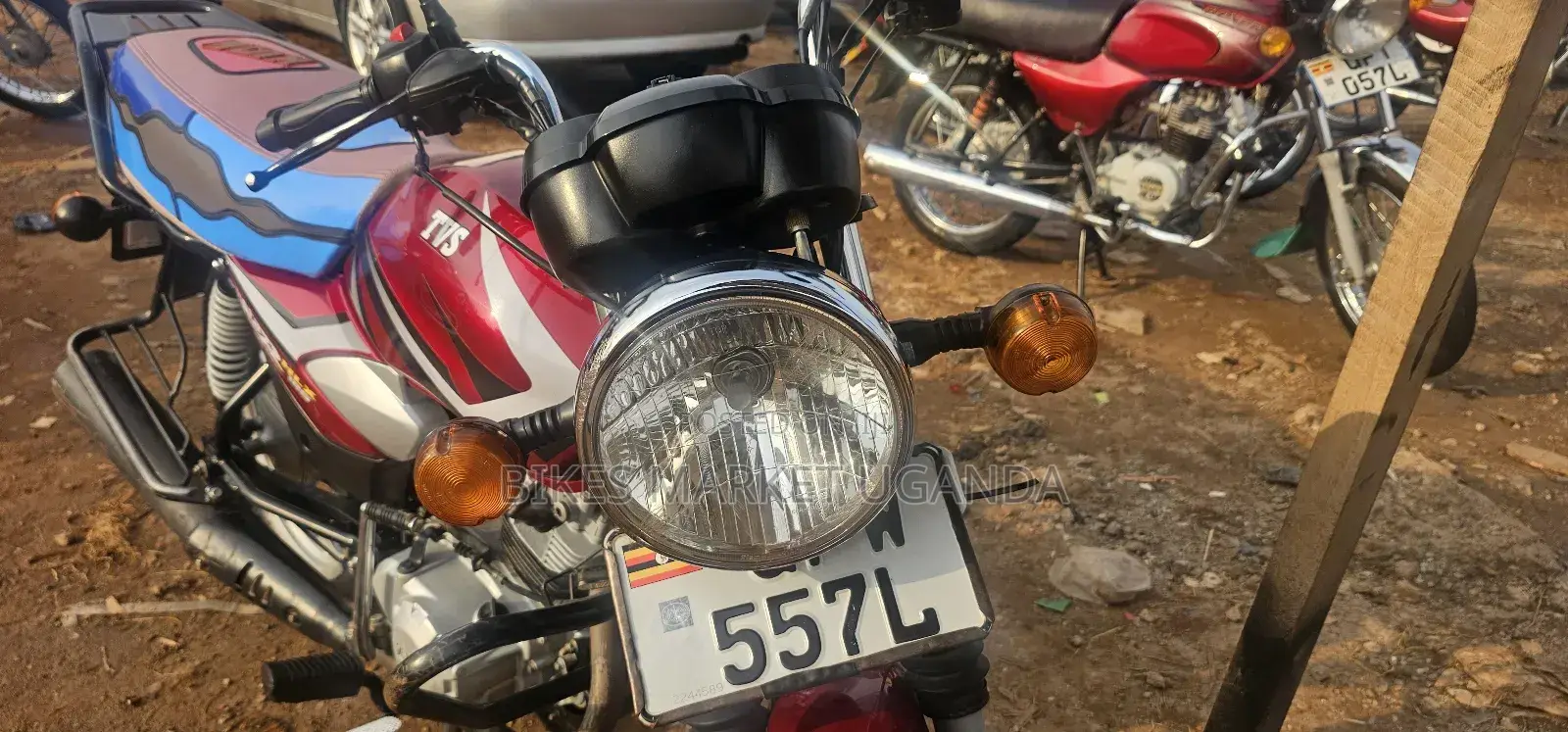 TVS HLX 125 2024 Red