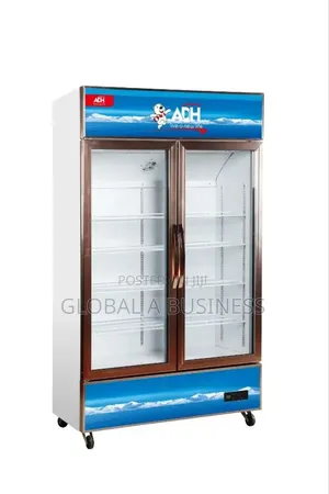 Adh 655l 2 Door Display Refrigerator – White