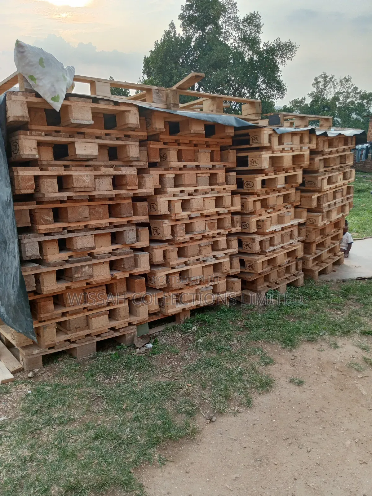 Wooden Pallets