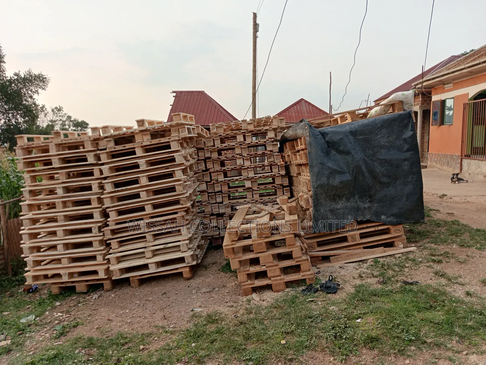 Wooden Pallets