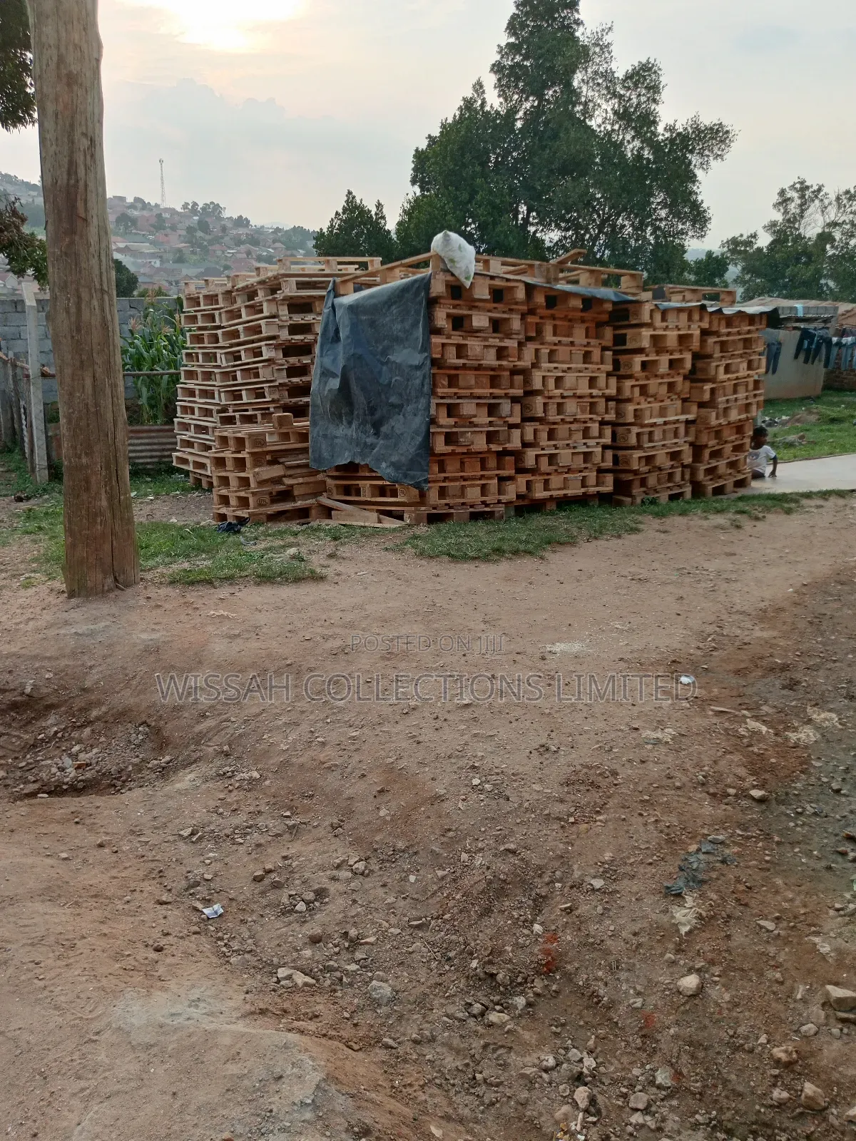 Wooden Pallets