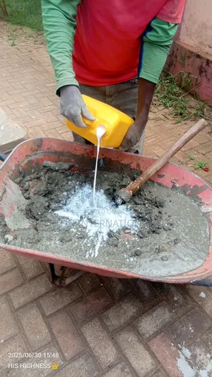 We Are Masters in Water Proofing All Kinds of Structures