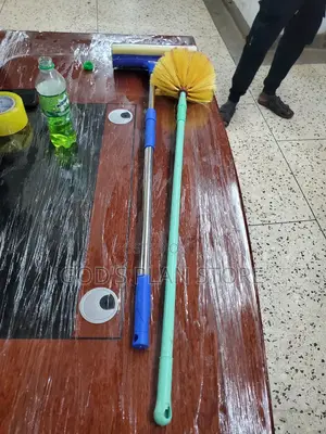 Cob Web and Window Squeezer