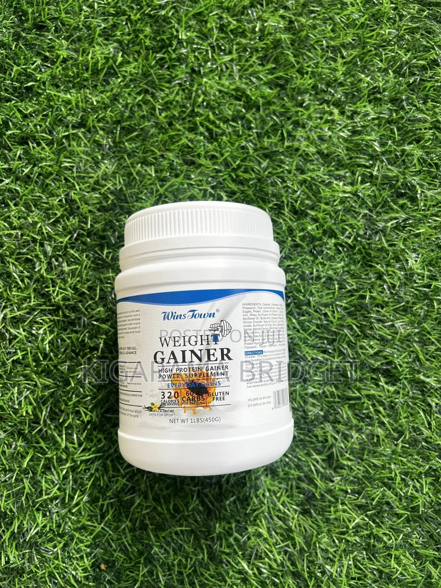 Weight Gainer Powder 450g