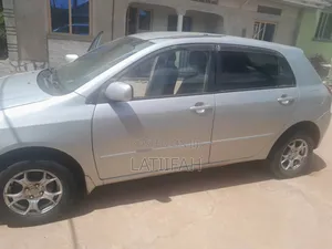 Photo - Toyota Corolla RunX 2003 Silver