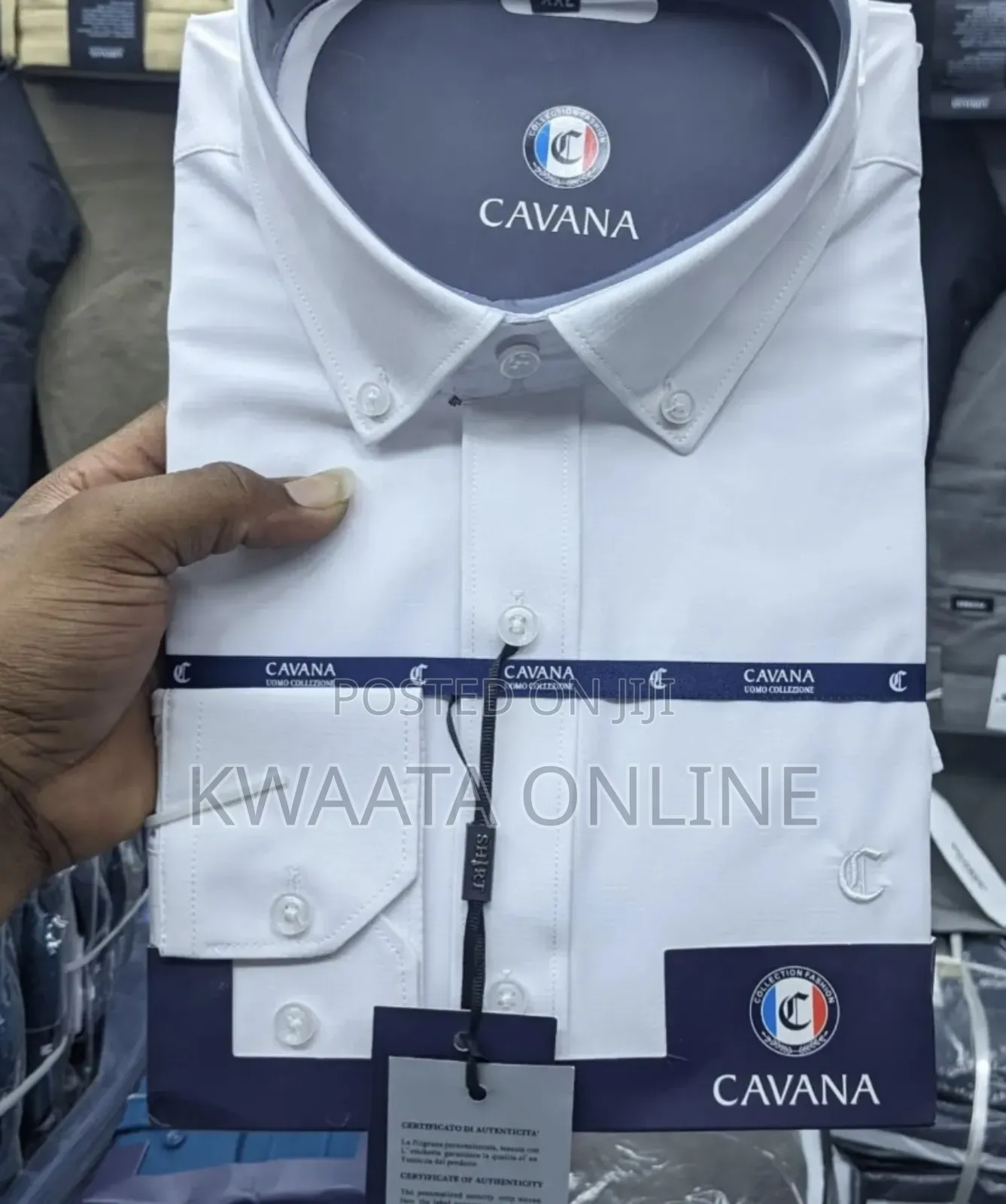 Cavana Men's Oxford Premium Quality Shirt -plain Colors