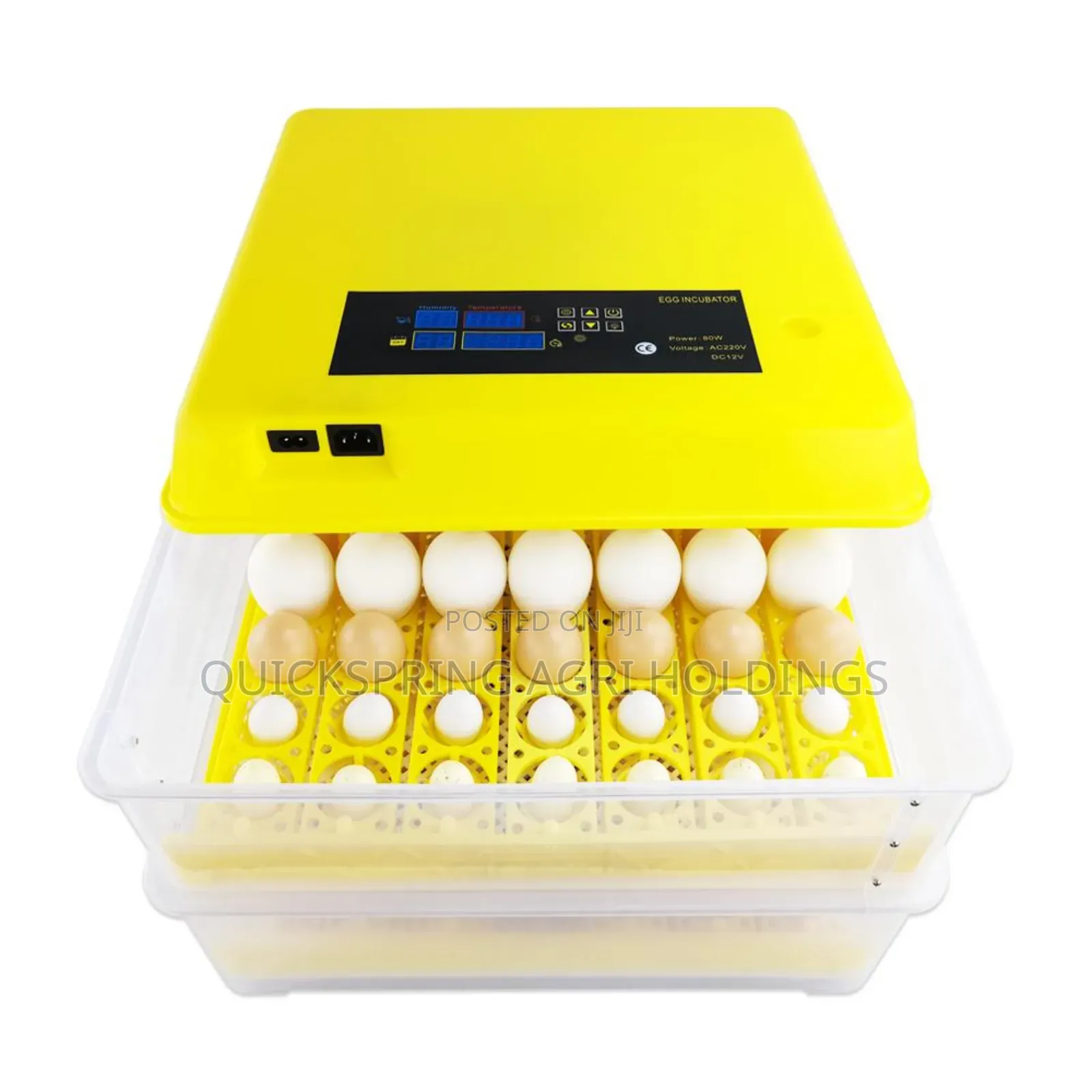 Egg Incubators