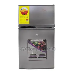 Roch Top-Quality Double Door Refrigerator 125liters