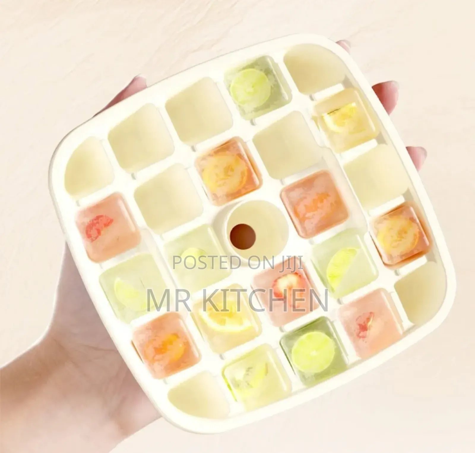 Double Layer Ice Box
