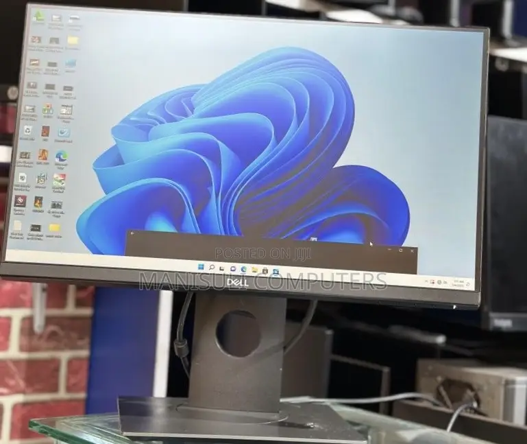 Dell Monitor Ips