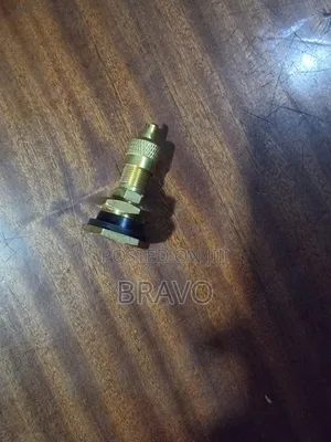 Tubeless Valves for Wheel Loader.
