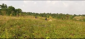 Photo - Plot for Sale
