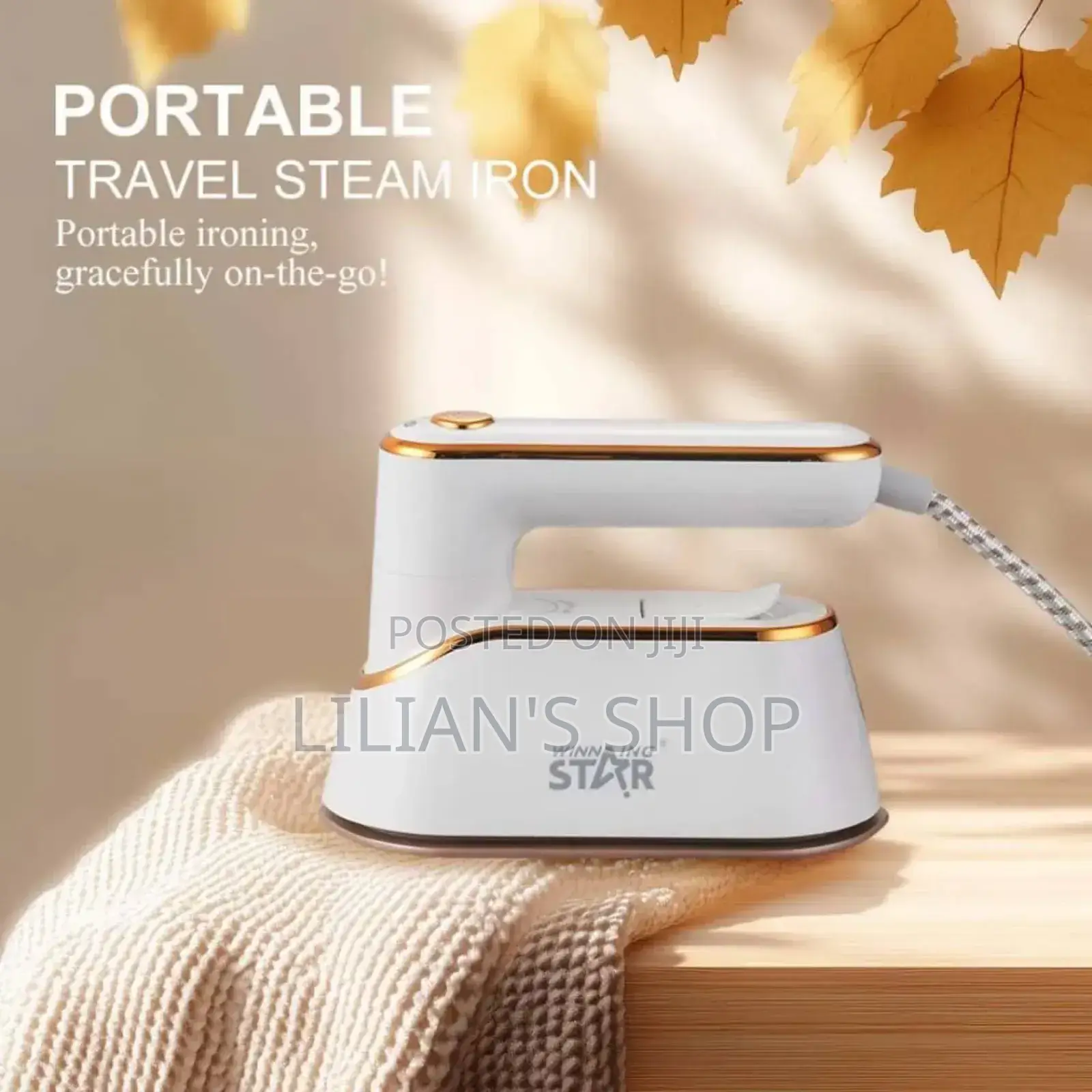 Winningstar Portable Travel Steame Iron