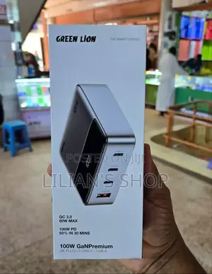 Green Lion 100w Superfast Laptop and Smartphone Adapter