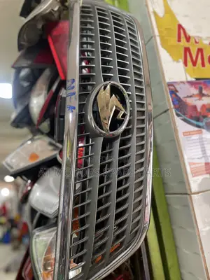 Lexus Grill 2006
