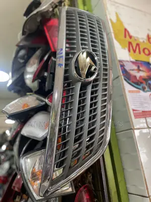 Lexus Grill 2006
