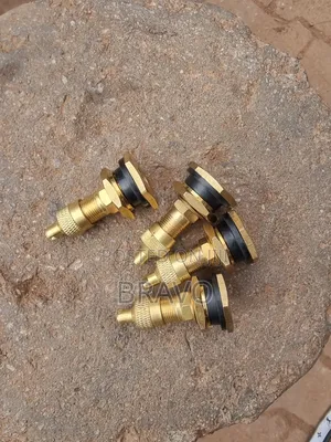 Tubeless Valves for Wheel Loader Rims.