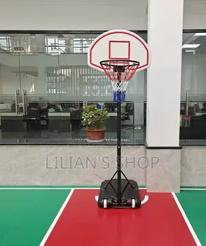 Portable Basketball Hoop System
