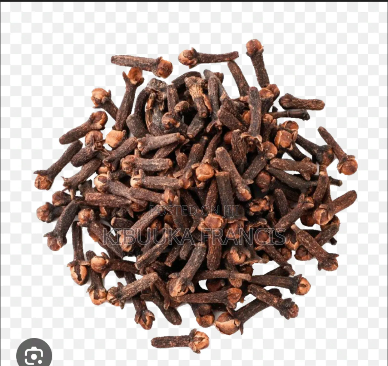 Clove (Karafu) Seedlings for Sale