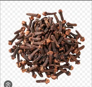 Clove (Karafu) Seedlings for Sale