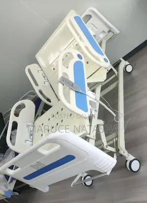 Five Function Electric Bed