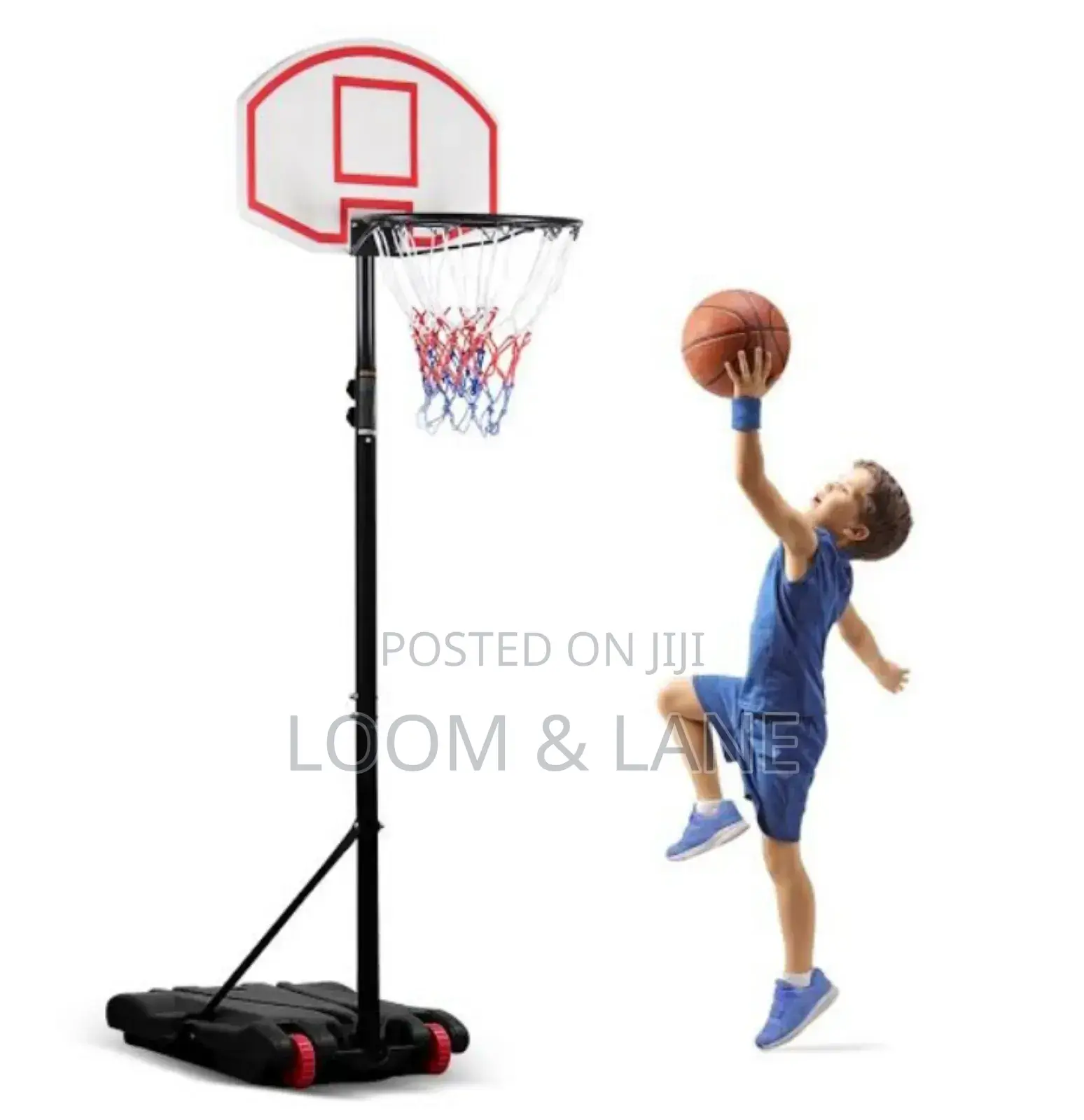 Portable Basketball Hoop System