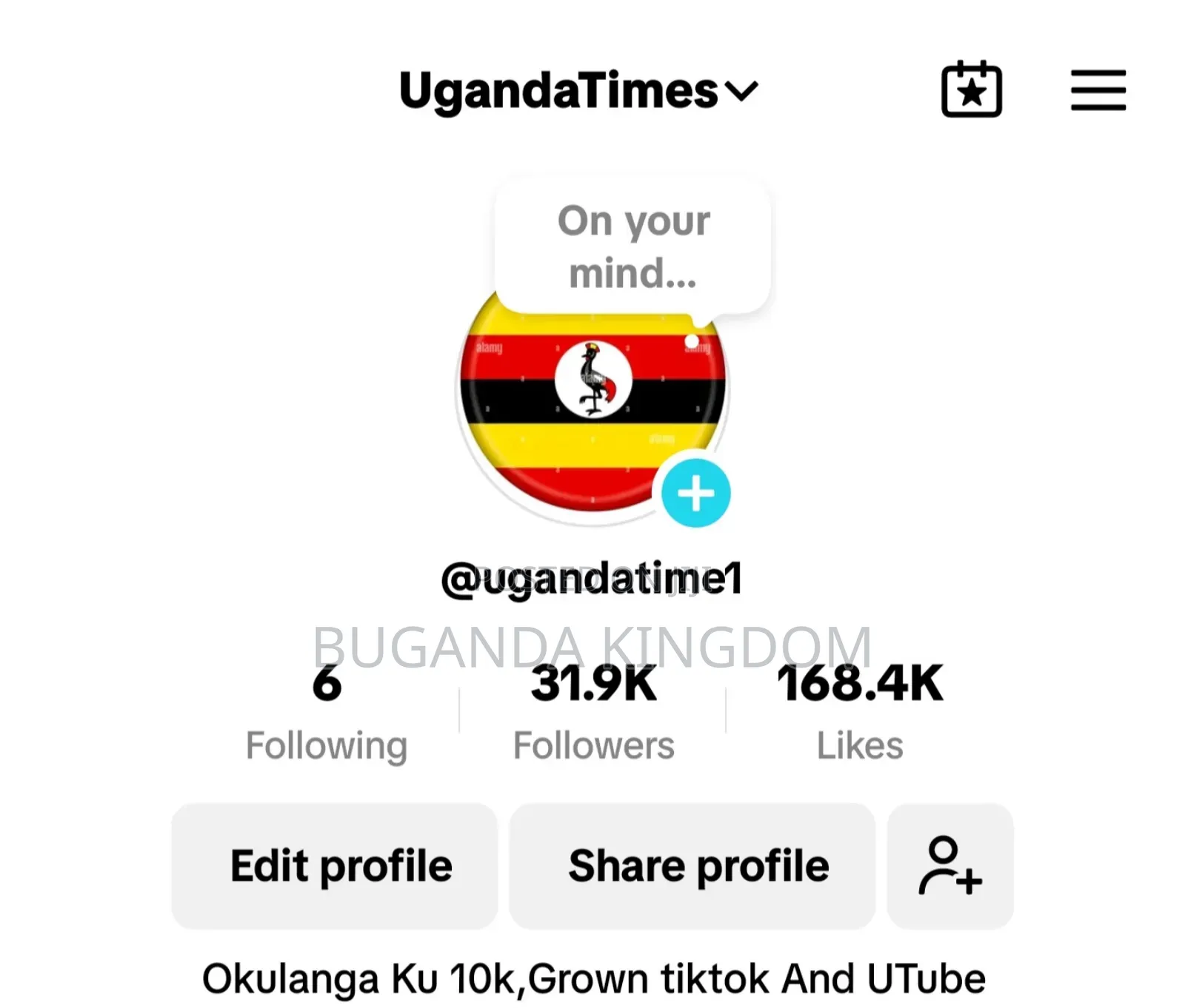 Followers Tiktok Account