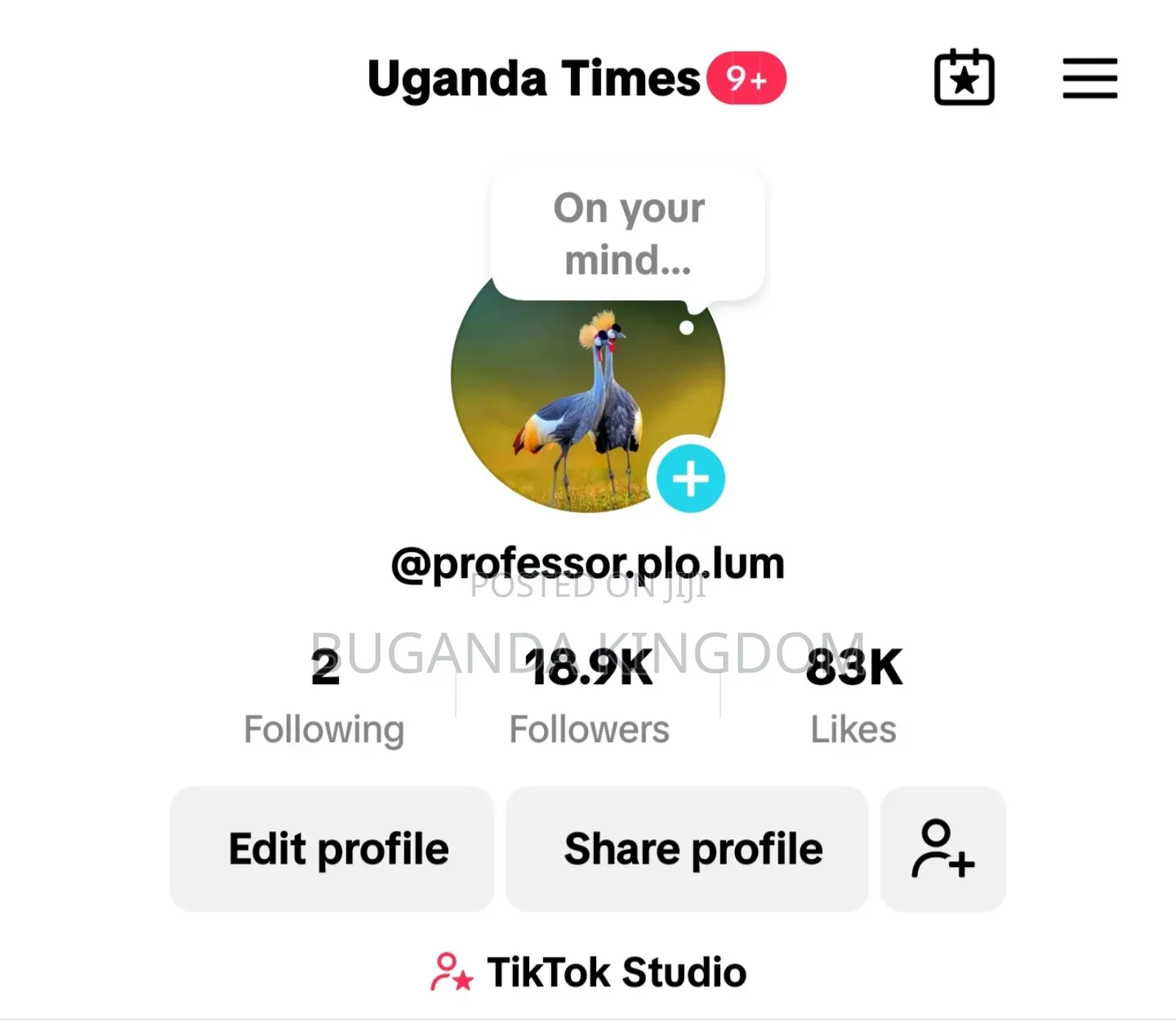 Followers Tiktok Account