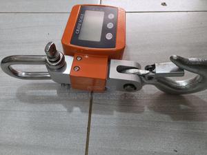 Crane Weighing Scale With Stabilization Time of 3-7s in Central ...