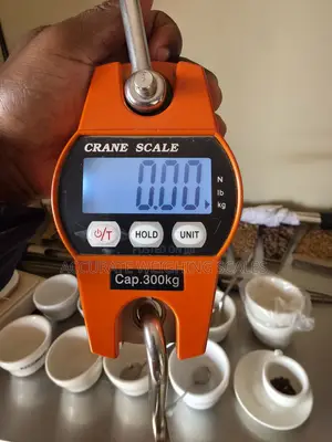 Photo - Crane Weighing Scale With GRCS-1: 5 Keys Keypad