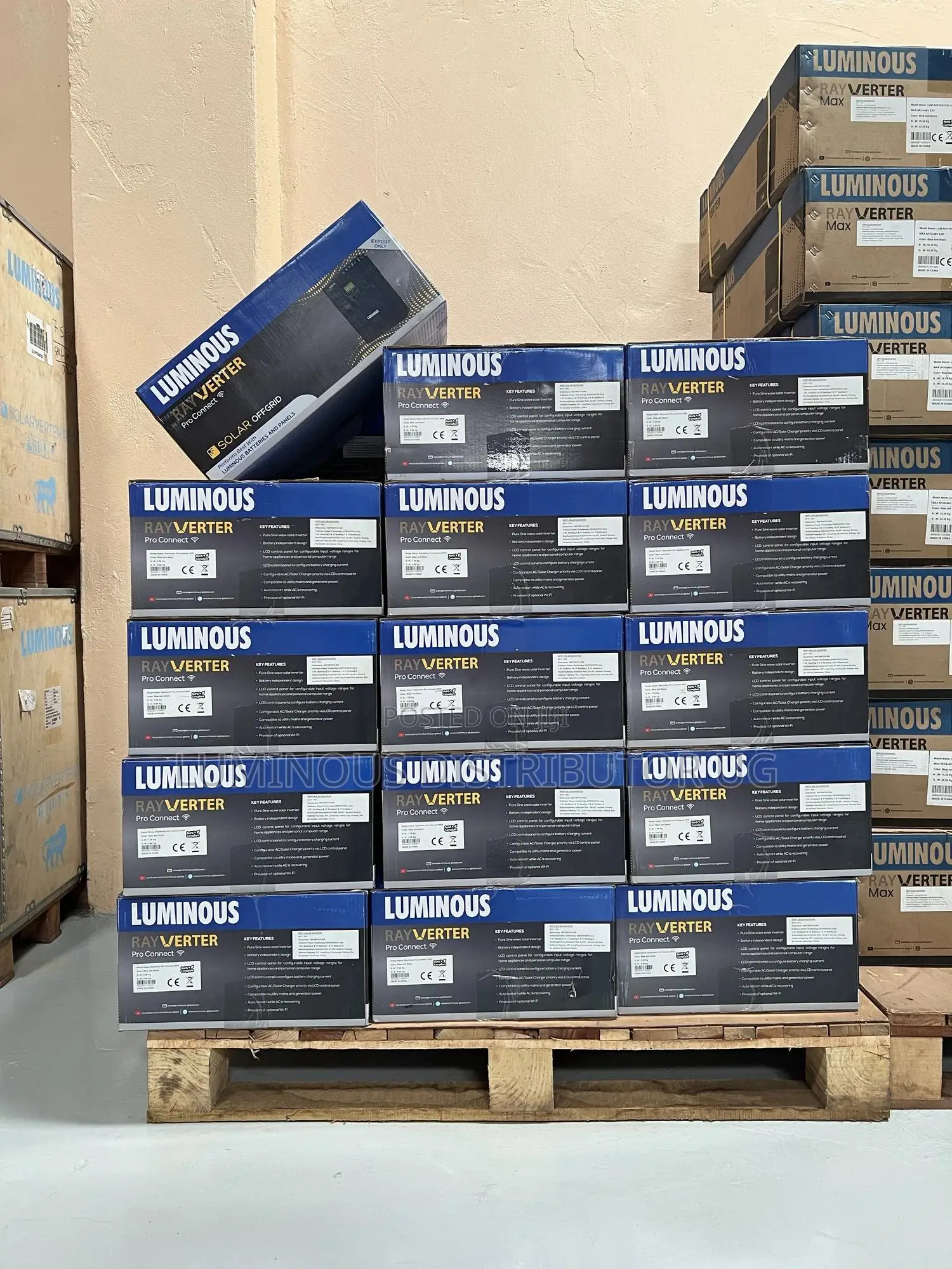 All Luminous Products at Discount 30% Off