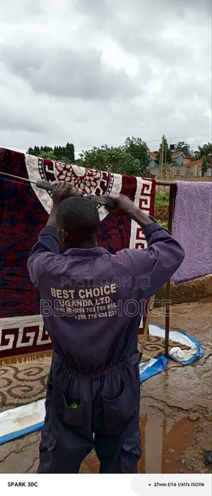 Photo - Carpet Cleaning Experts at Your Service