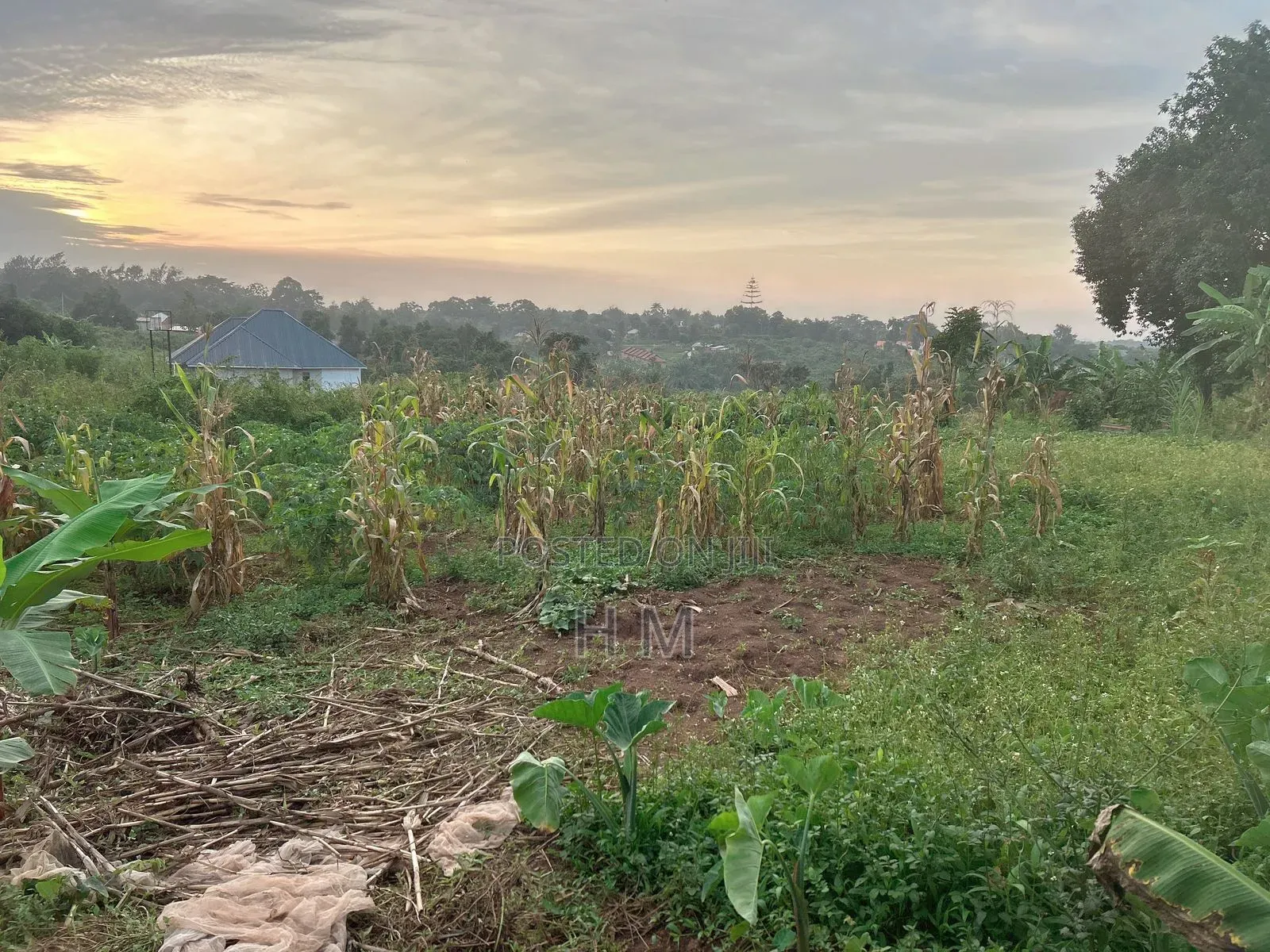 100/100 Plot in Kiwenda Town