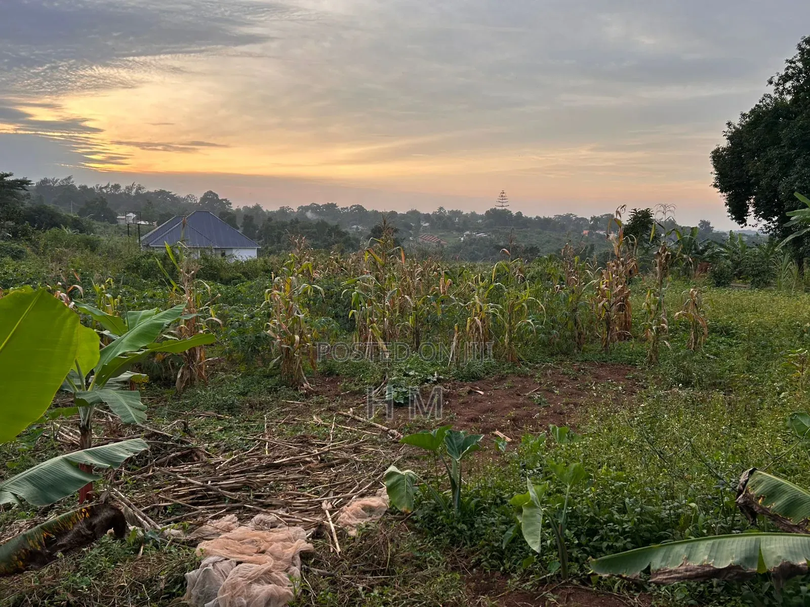 100/100 Plot in Kiwenda Town