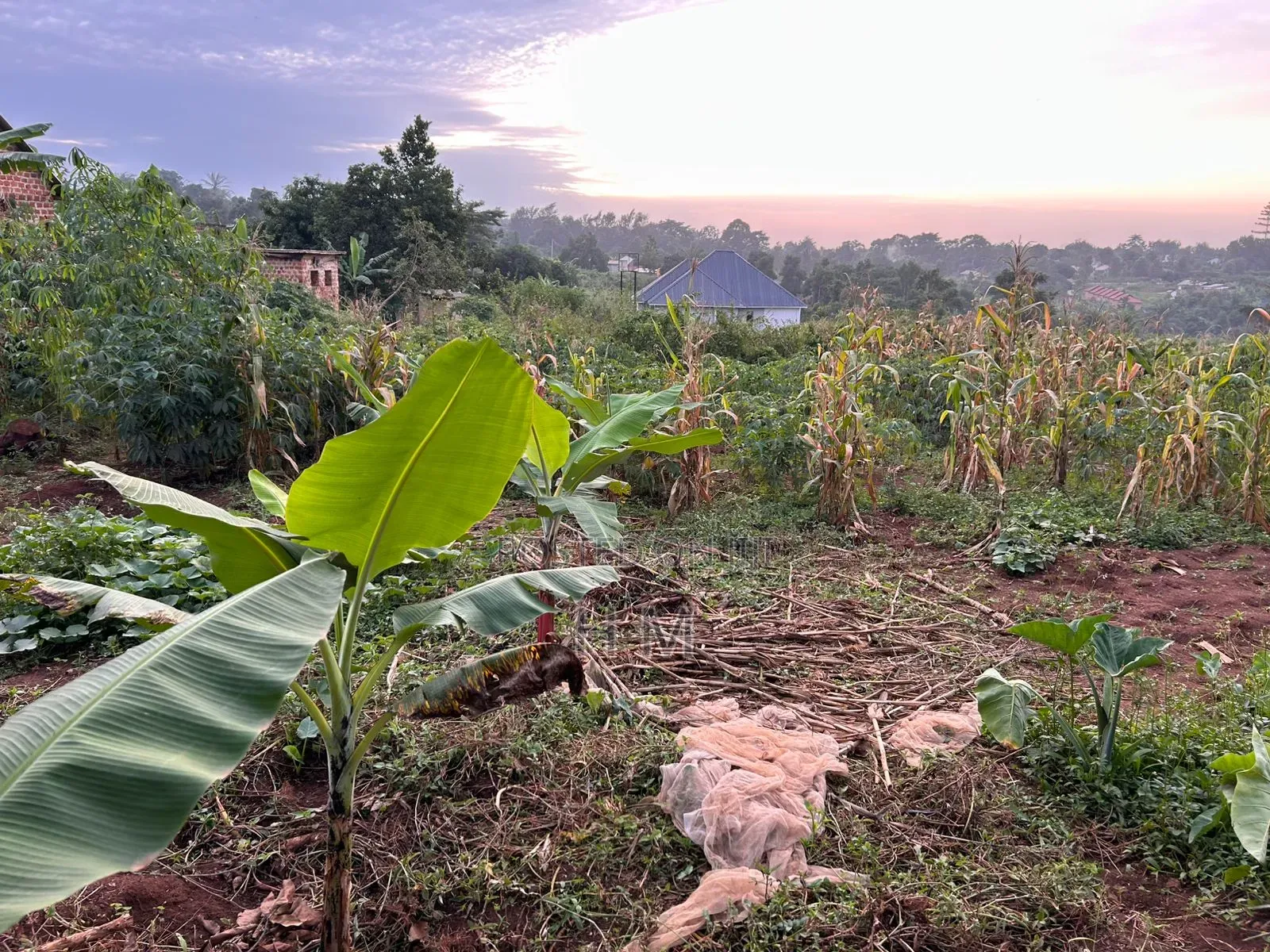 100/100 Plot in Kiwenda Town