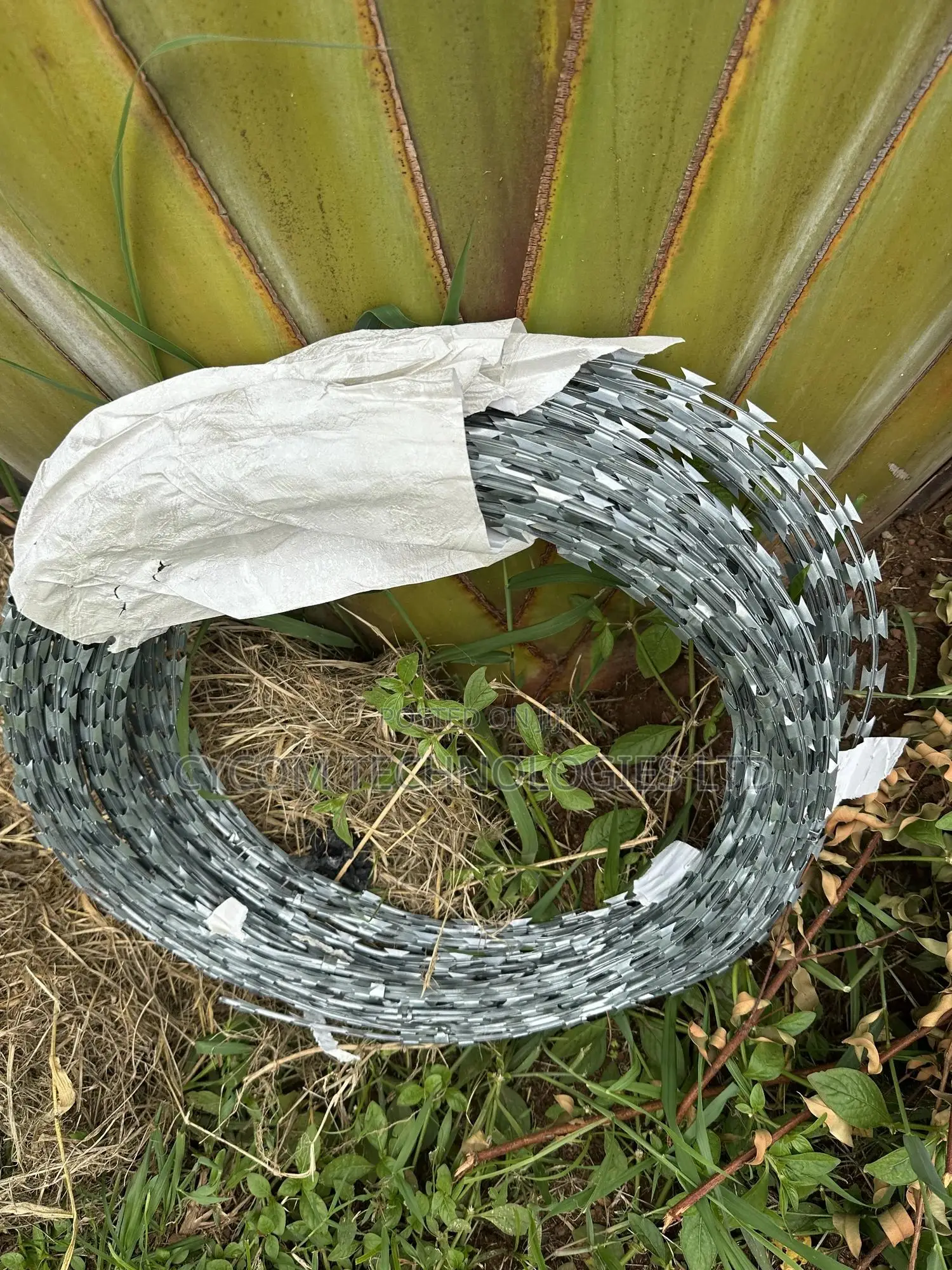 Sekanyorya Razor Wire