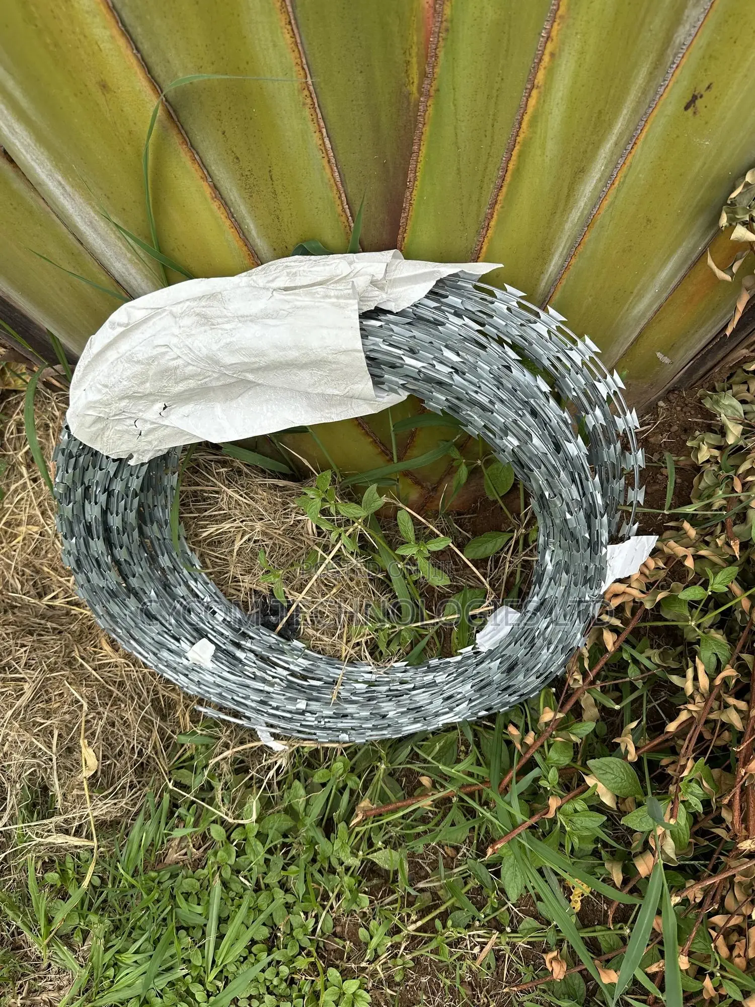 Sekanyorya Razor Wire