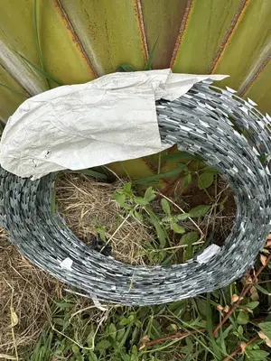 Sekanyorya Razor Wire