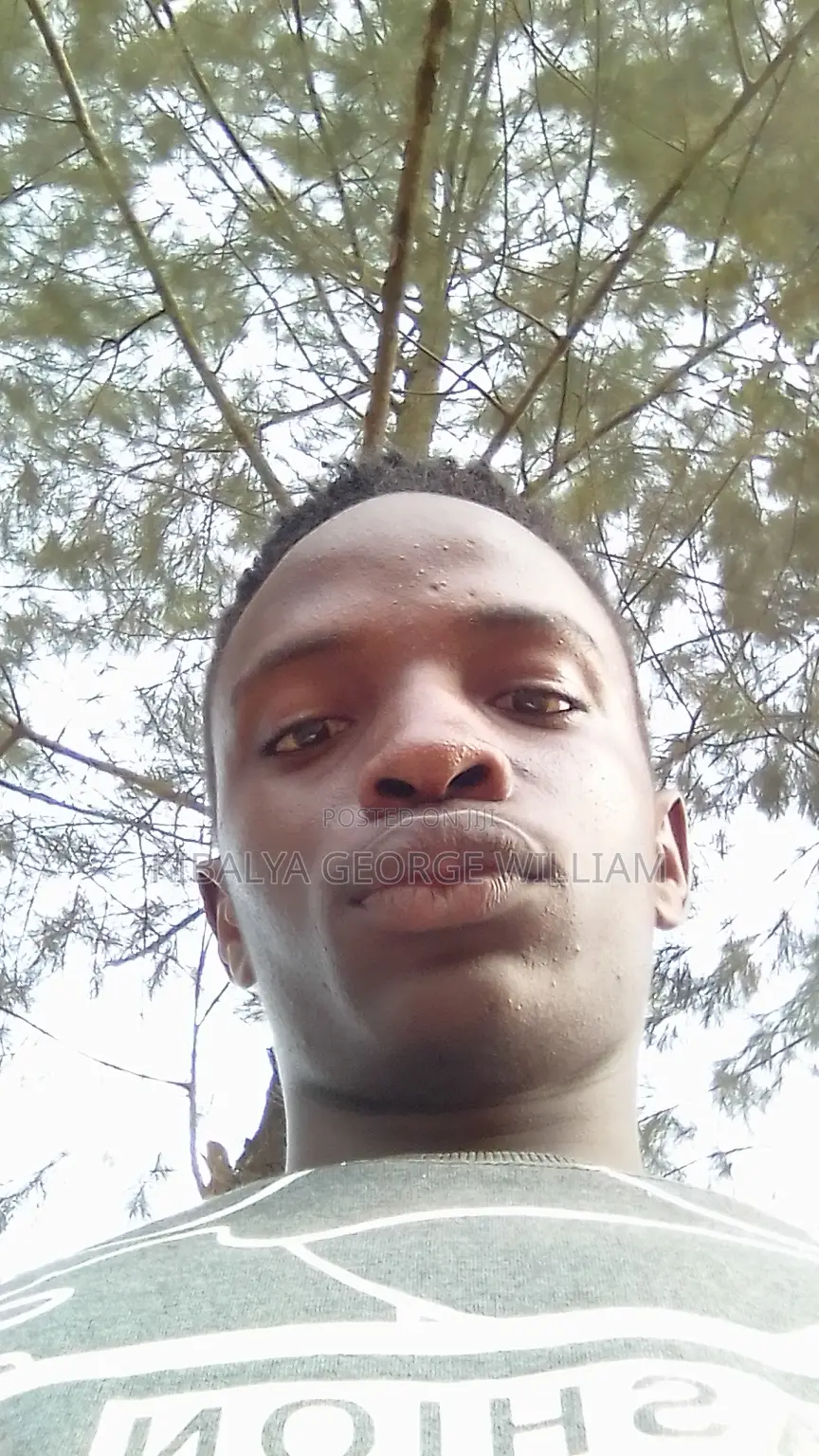 Call Center Agents to Work in Kamwokya