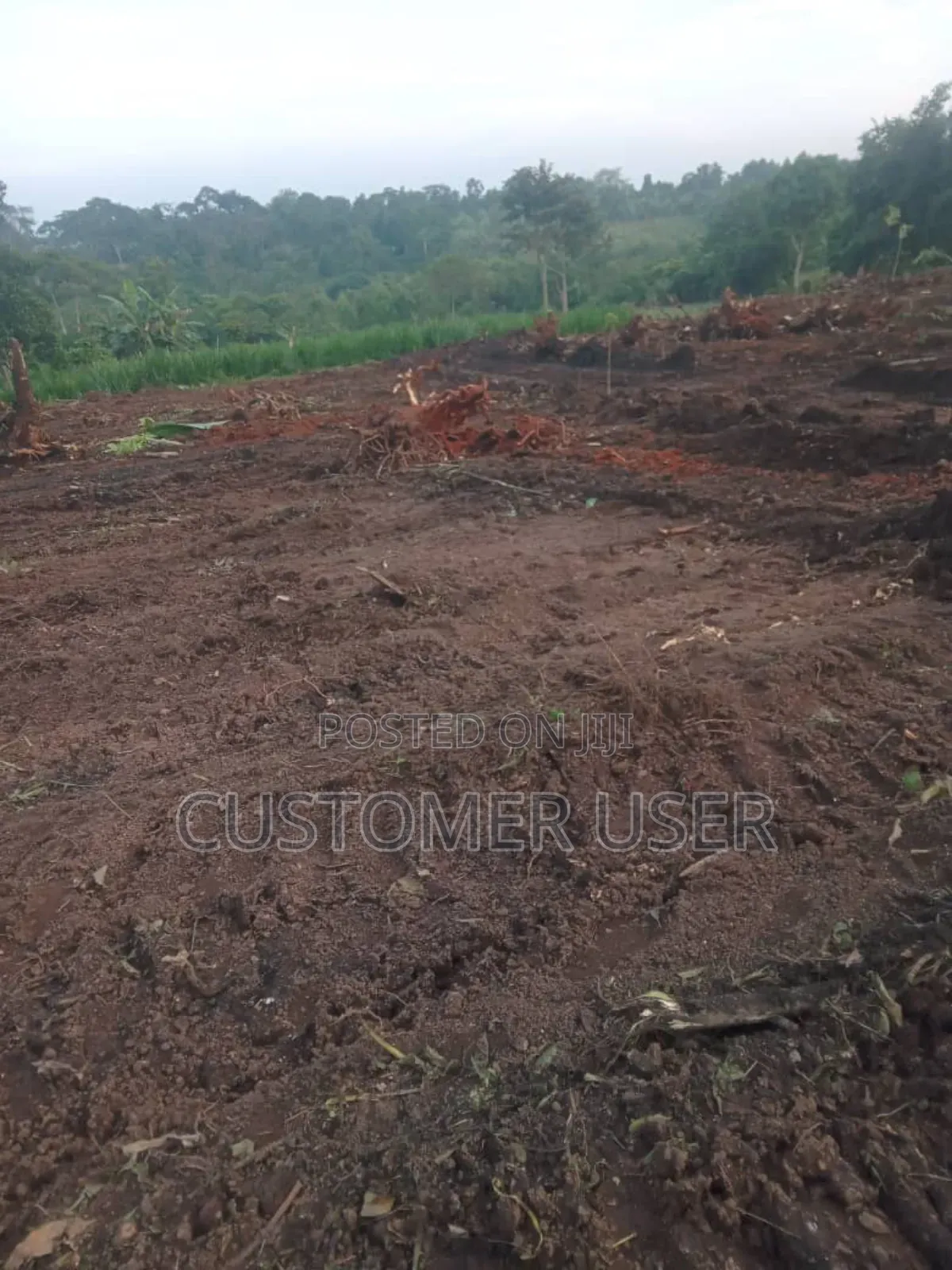 Plot of Land