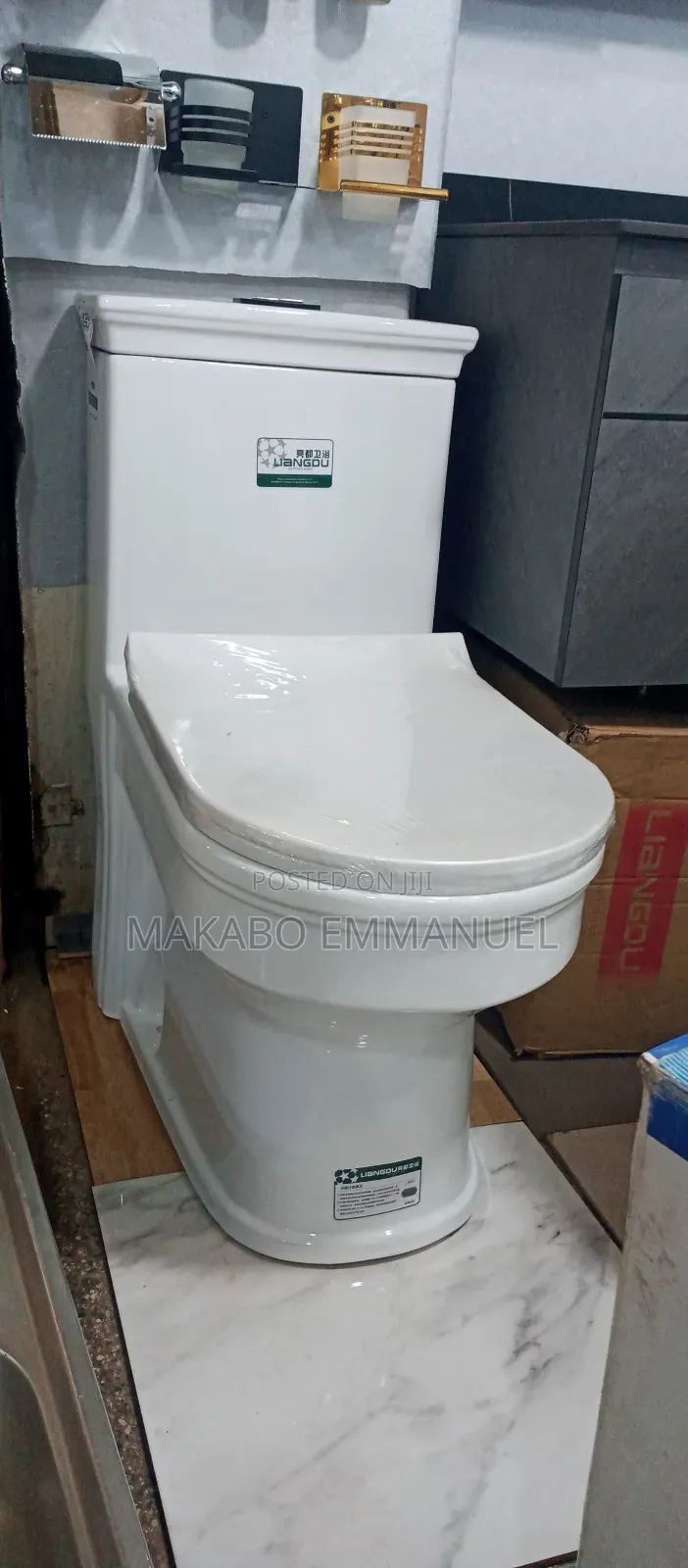 Modern Designed Liangdu Toilet