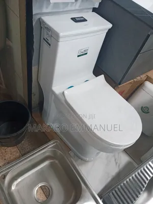 Modern Designed Liangdu Toilet