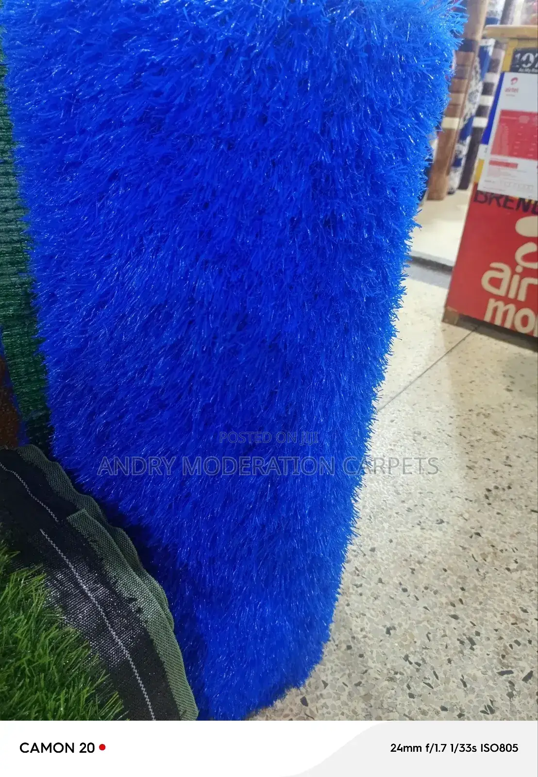 Quality Blue Grass Carpet