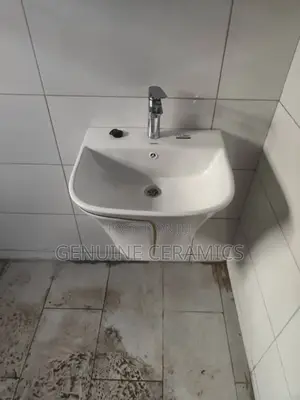Wash Basin