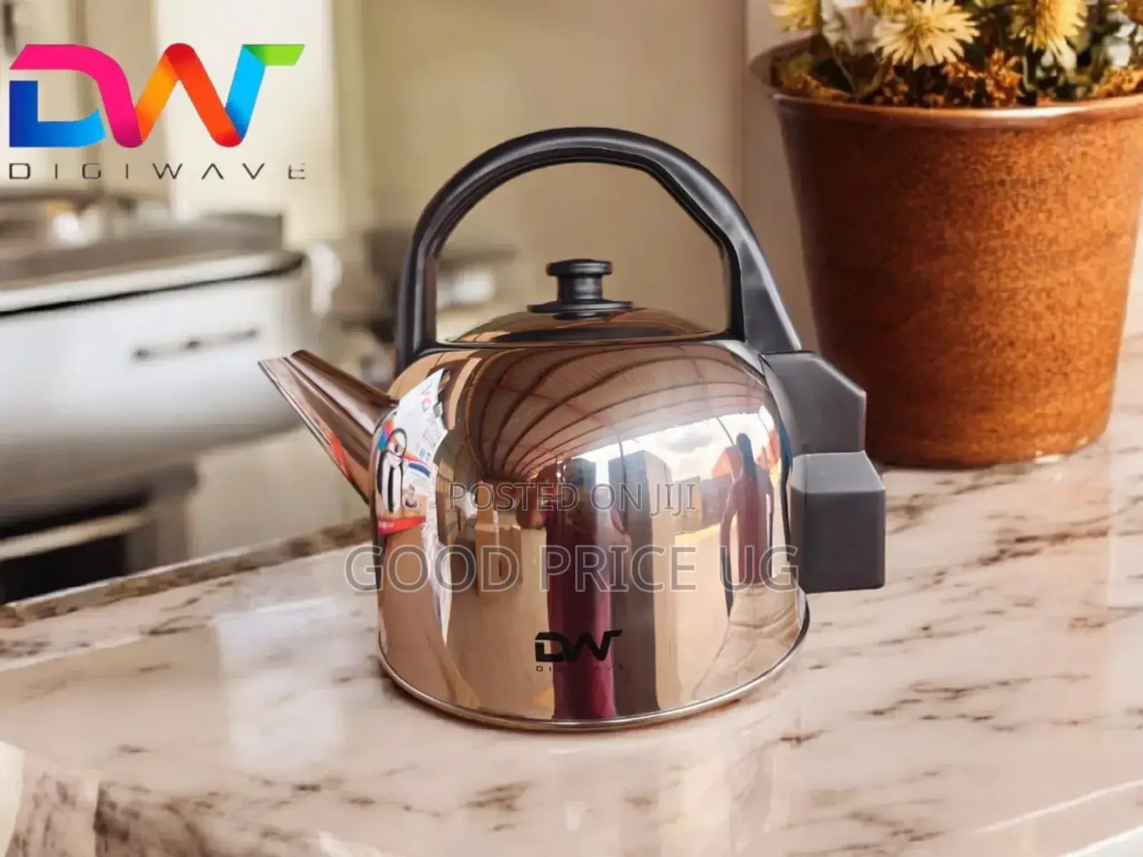 5 Litres Dw Stainless Steel Kettle