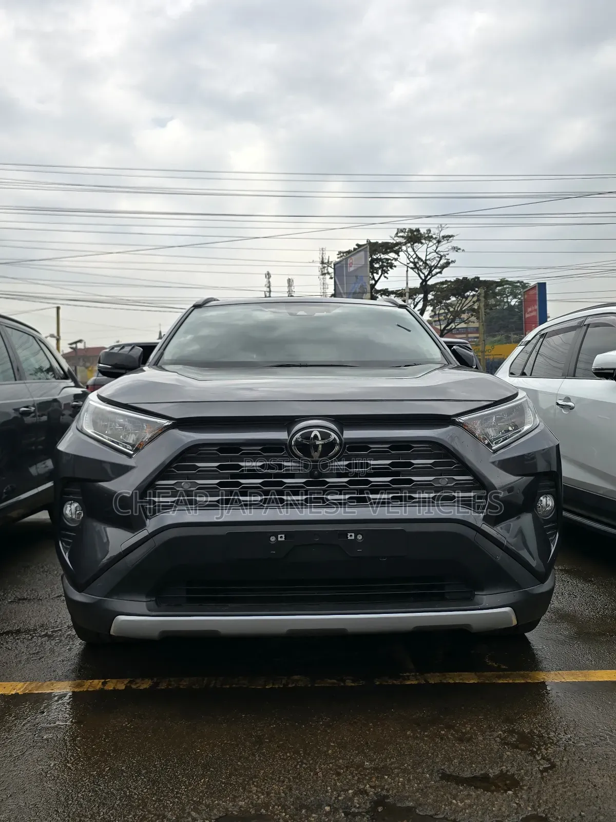 Toyota RAV4 Limited AWD 2020 Gray