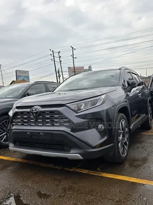 Toyota RAV4 Limited AWD 2020 Gray